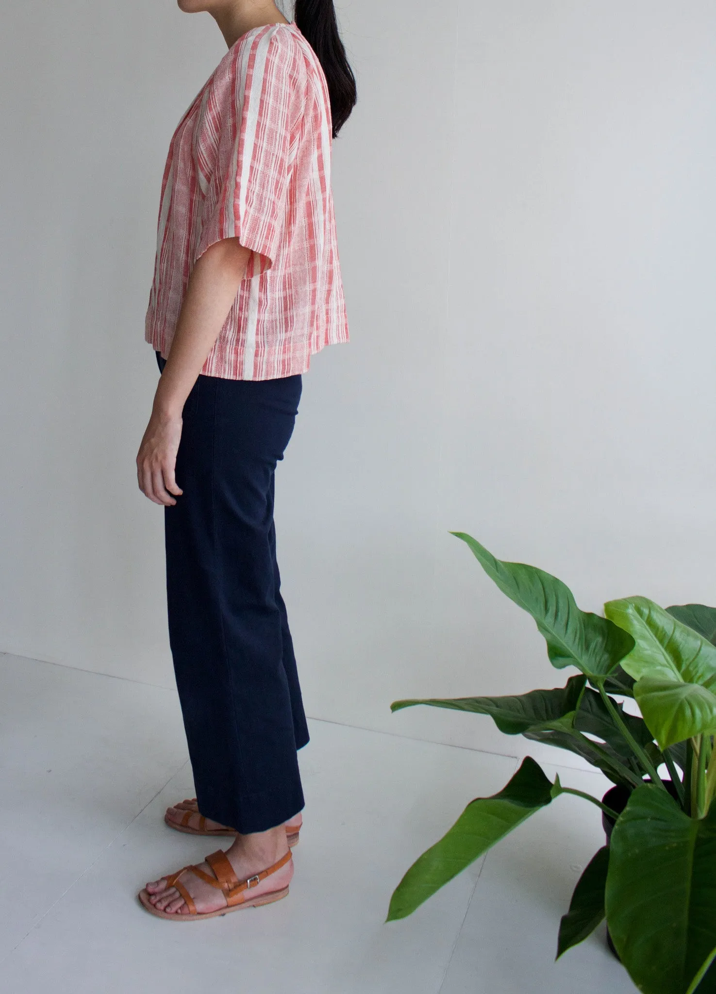 Ace top-sold out