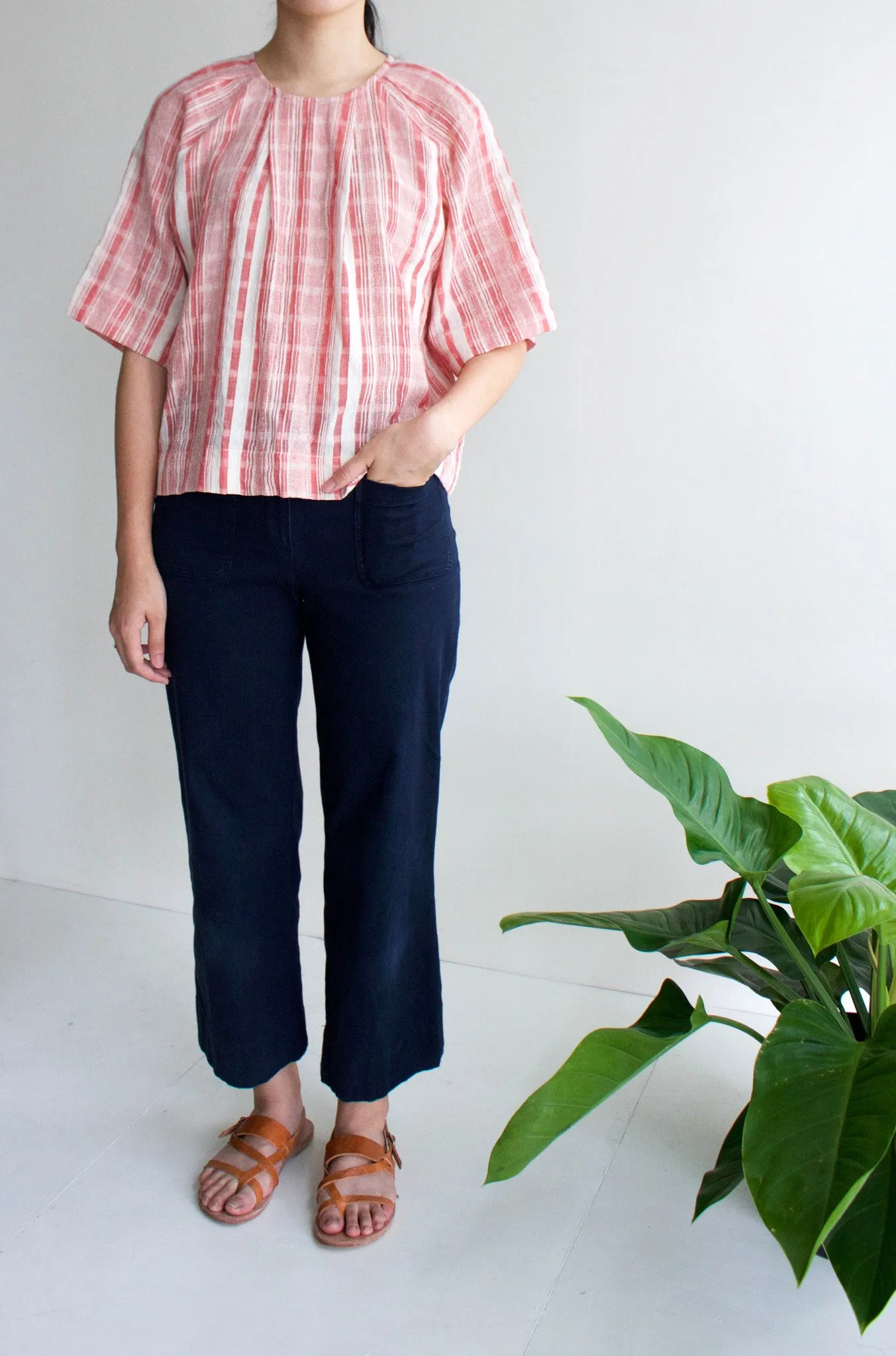 Ace top-sold out