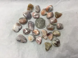 Botswana Agate, Tumbled Small