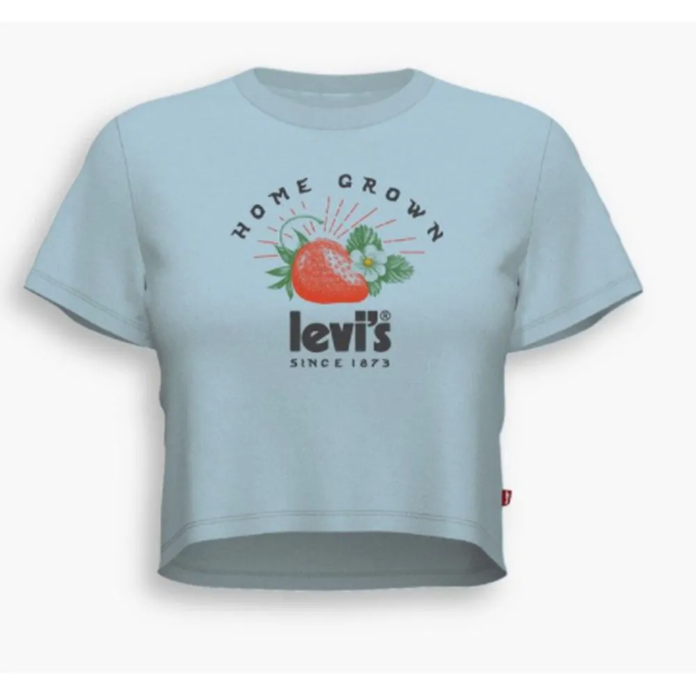 Levis Womens Cropped Jordie Tee
