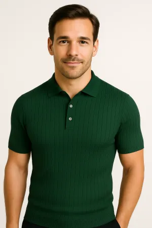 LumiNovi | The Roberto Knit Polo Shirt