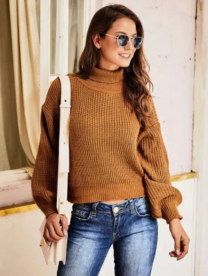 Original Design Women's Autumn High Collar Sweater