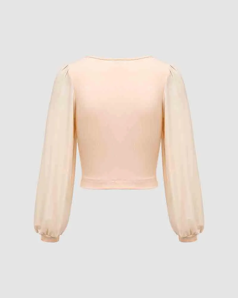 Rayelyn Scoop Neck Mesh Cropped Top