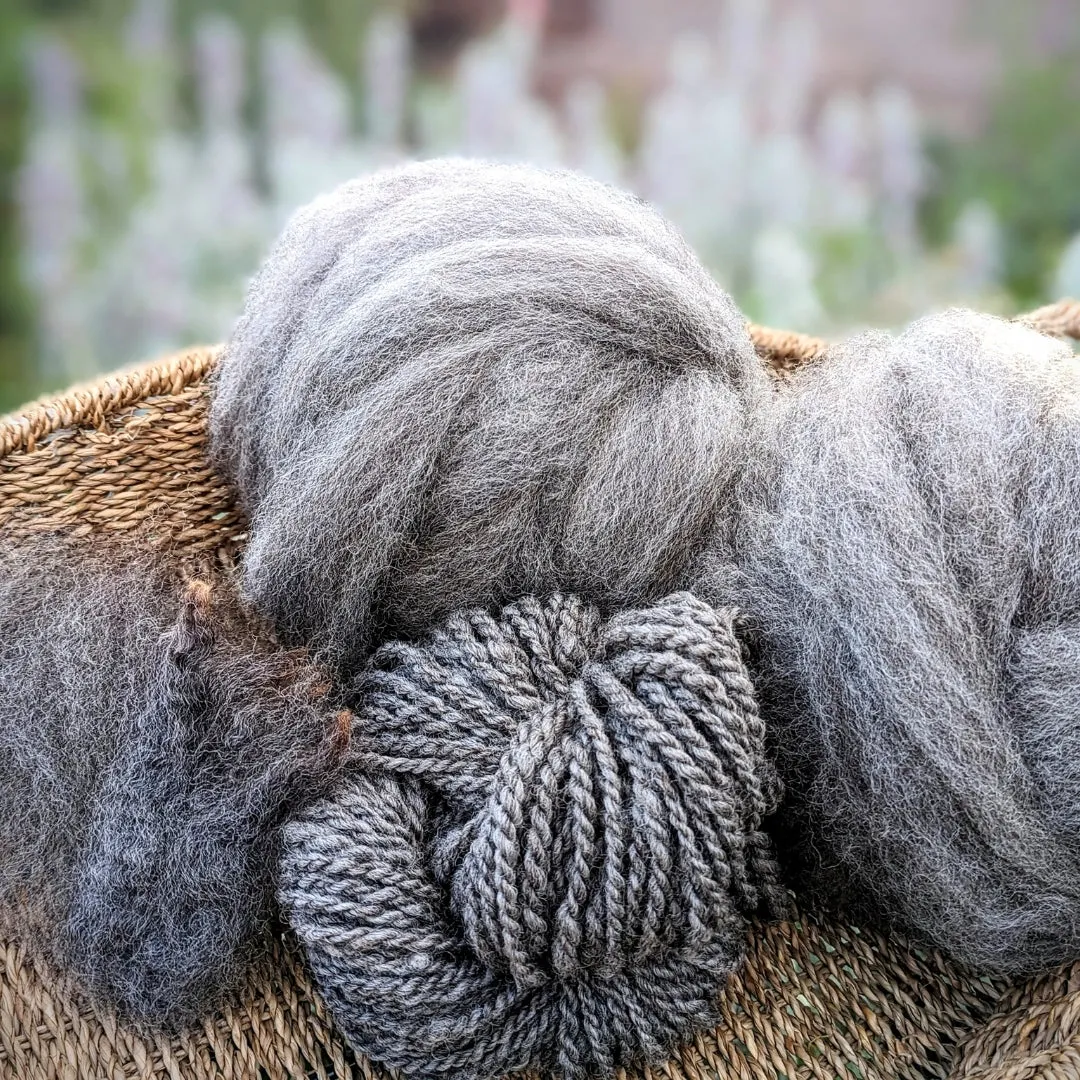 Romney Roving | Natural Silver | 2oz Roving-Ball