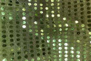 RS: Light Green Sequin on Light Green