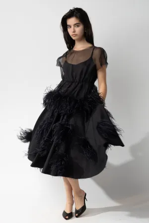 Skirt with Feathers