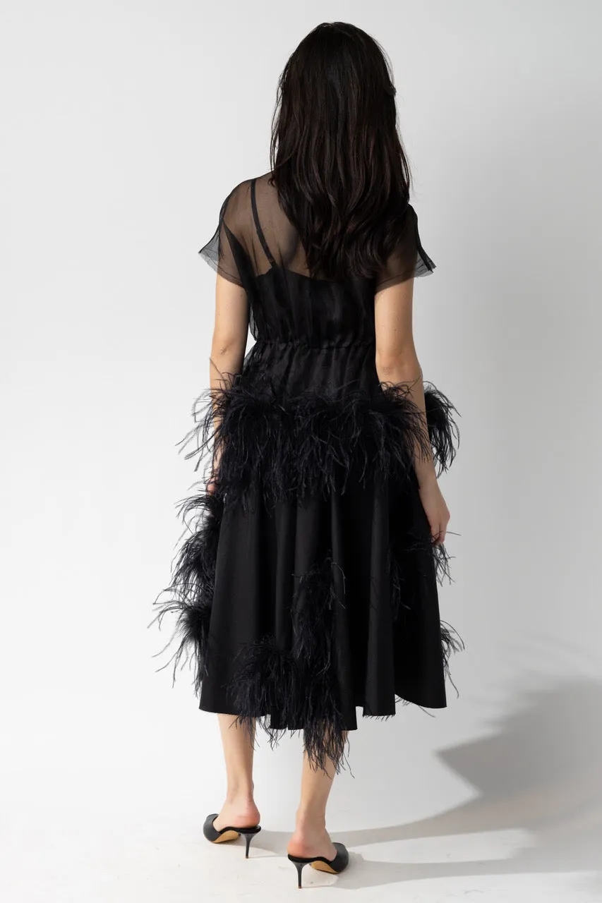Skirt with Feathers