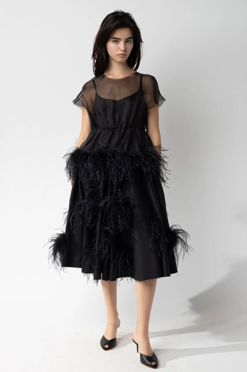 Skirt with Feathers
