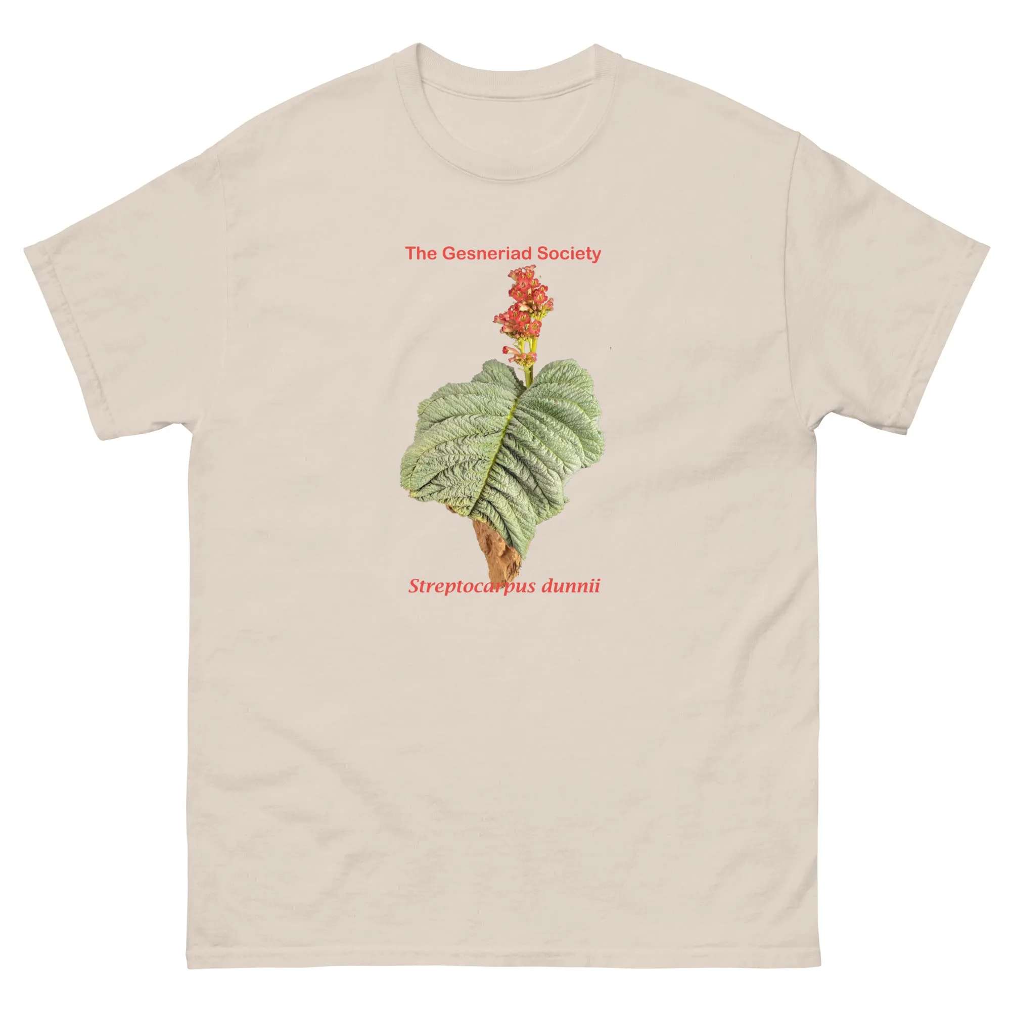 Streptocarpus dunnii Men's T-shirt