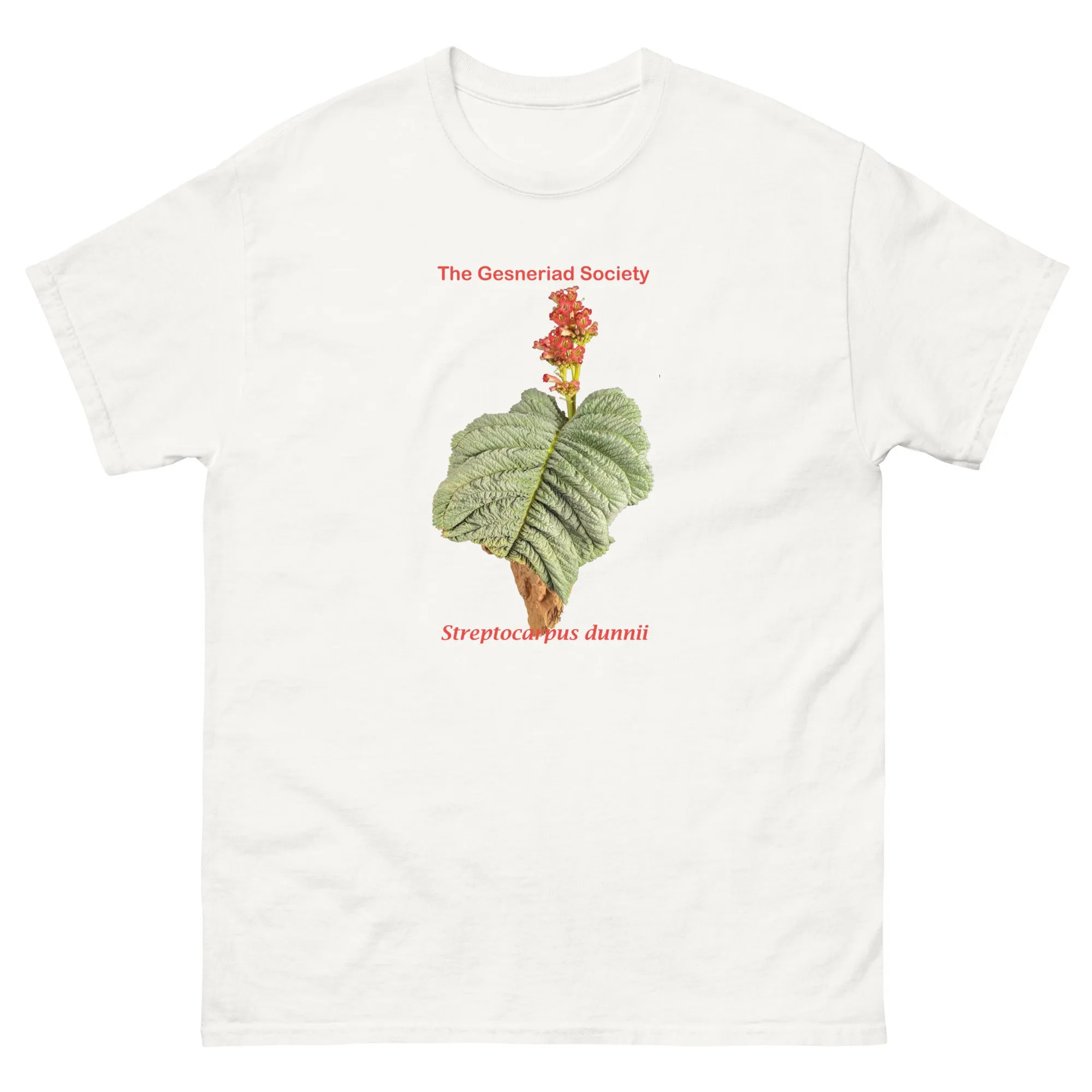 Streptocarpus dunnii Men's T-shirt