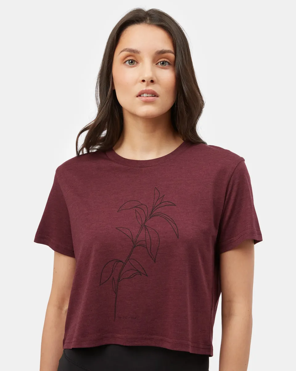 Sugar Leaf Cropped T-Shirt