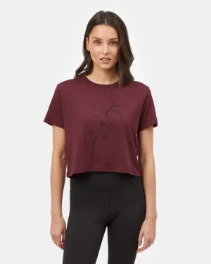 Sugar Leaf Cropped T-Shirt