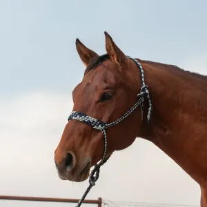 TKCR/HALTERBR--Navy/Gry Halter Rope w/Lead & Braided