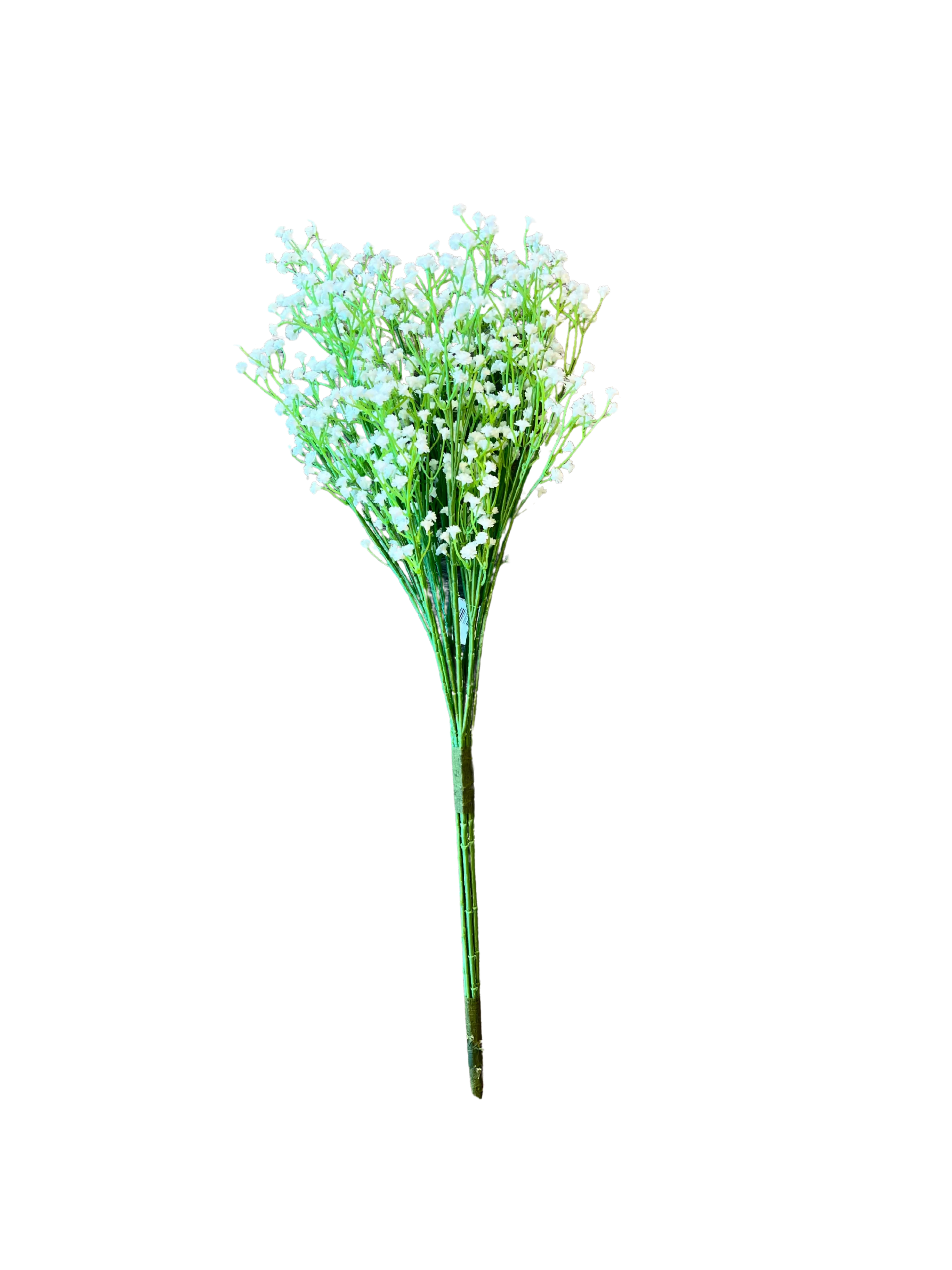 White Gypsy Bush, Large