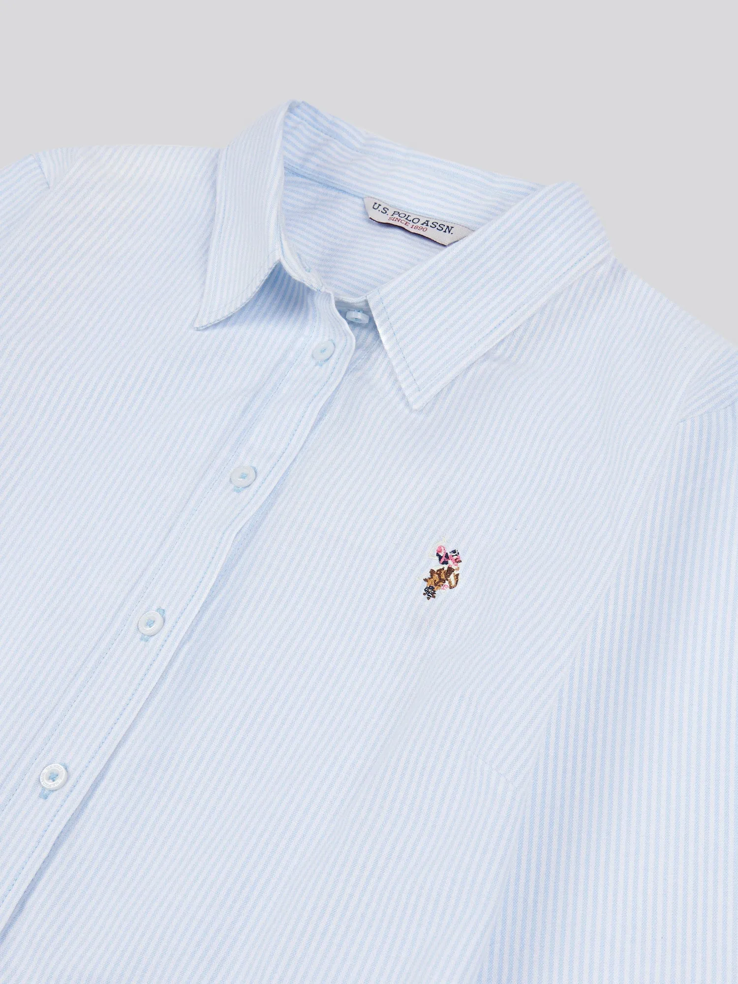 Womens Stripe Stretch Classic Fit Oxford Shirt in Windsurfer